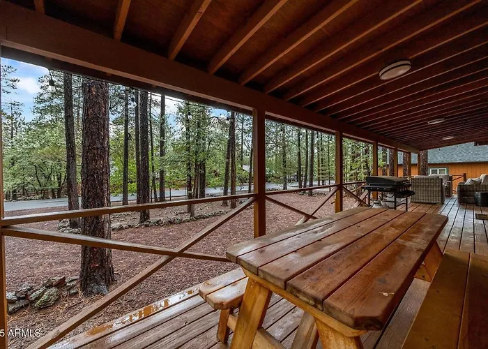 Cozy In The Pines *
