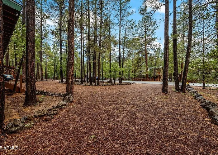 Holiday home Cozy In The Pines *